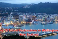 Top 10 Travel Destinations in Wellington, New Zealand